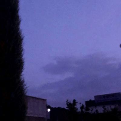 蓬莱九游手机版下载