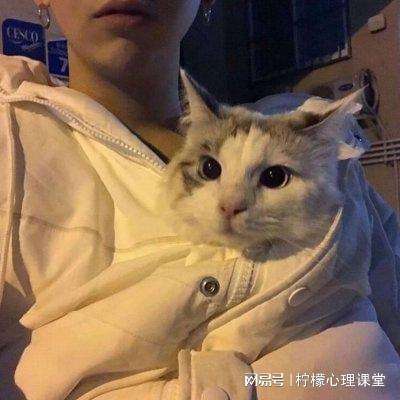 三国群英传鸿鹄霸业手游下载